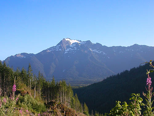 Whitehorse Mountain from side of North Mountain, Skagit County, Washington (near Darrington)