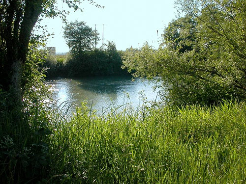 Nooksack River from dike trail, Nooksack River Slater Road Bridge, Whatcom County, Washington