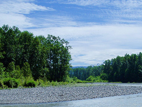 gravel bar on east bank (from west bank), Nisqually River at Washington State Hwy. 542, Whatcom County, Washington