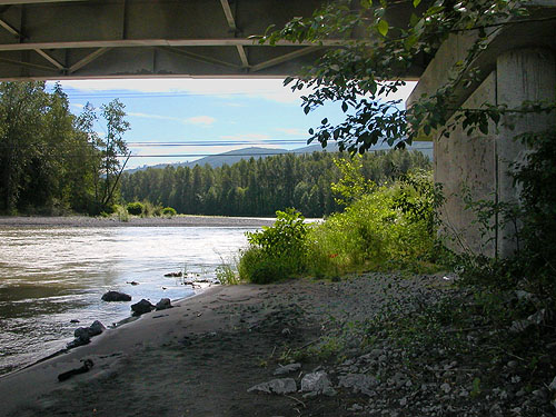 shade under bridge, bank of Nooksack River at Hwy. 542, Whatcom County, Washington