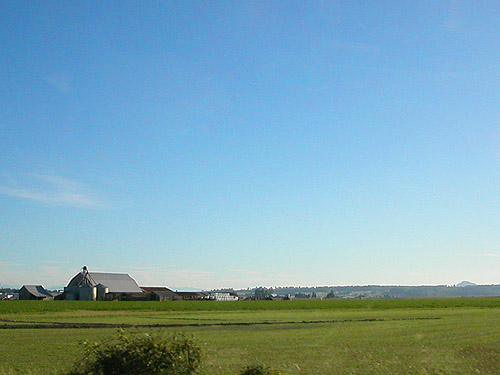 Skagit Delta agricultural flats, near Mount Vernon, Washington