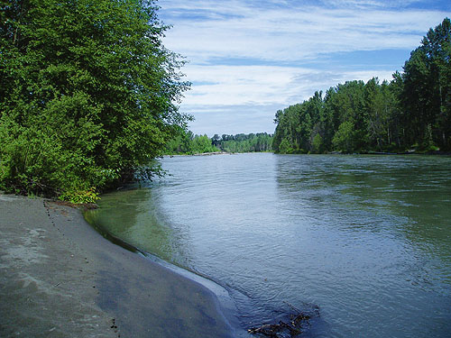 River with sandy bank, Nisqually River at Washington State Hwy. 542, Whatcom County, Washington