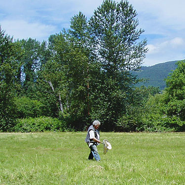 Rod Crawford sweeping field by east bank parking lot, Nisqually River at Washington State Hwy. 542, Whatcom County, Washington