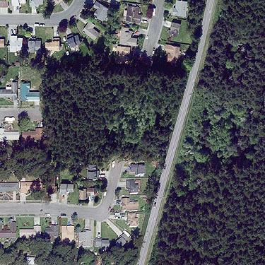 US Navy forest on east side of Regatta Drive, Oak Harbor, Whidbey Island, Washington