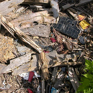 trash litter in clearcut, Olney Pass, Snohomish County, Washington