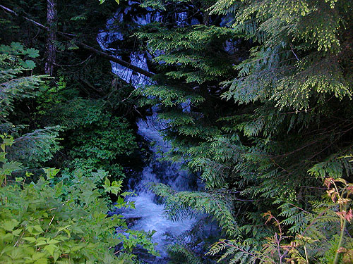 falls of Hawthorn Creek along main Mt. Pilchuck Road, Snohomish County, Washington