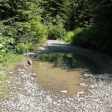 semi-permanent puddle in road to old rock quarries on lower NW slope of Mt. Pilchuck, Snohomish County, Washington