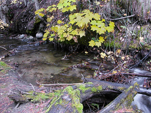 Beaver Creek, Wenatchee River at Beaver Creek mouth, Chelan County, Washington