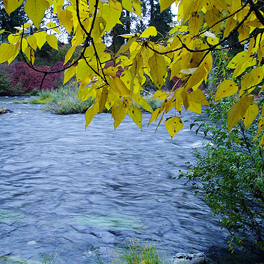 Wenatchee River at Beaver Creek mouth, Chelan County, Washington