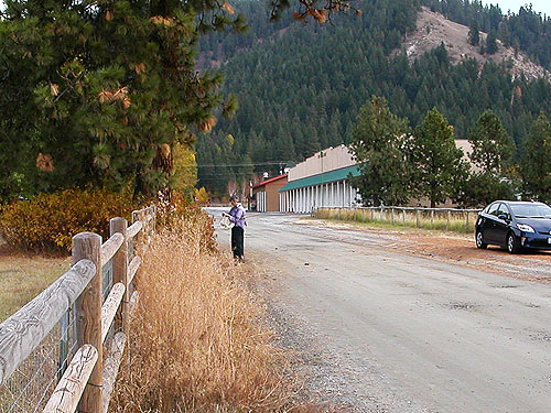 Laurel Ramseyer tapping pine cones along fence, Plain, Chelan County, Washington