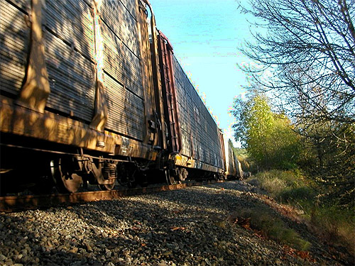 passing train, Chehalis River S of Porter, Grays Harbor County, Washington