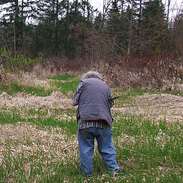 Rod Crawford examines meadow sweep sample, Rapjohn Lake, Pierce County, Washington