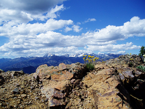 panorama from top of Red Top Mountain, Kittitas County, Washington
