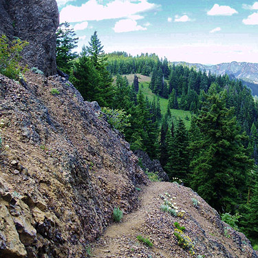 parkland, meadow and forest seen from Red Top Mountain, Kittitas County, Washington