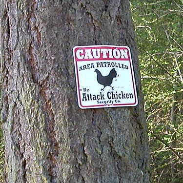 attack chicken sign, Patmore Pit dog park, Whidbey Island, Washington