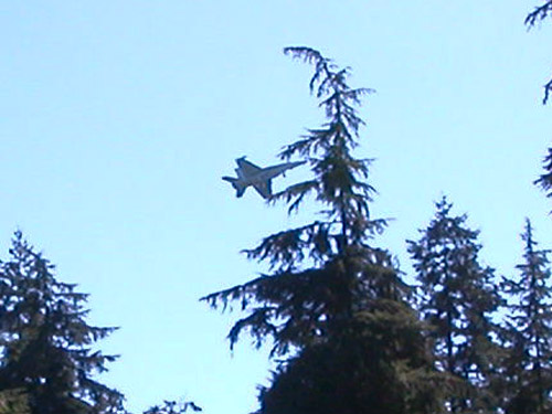 US Navy Growler jet over south end Rhododendron Park, Whidbey Island, Washington
