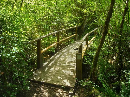 trail bridge over "Gee Creek" brook, Rocky Creek Conservation Area, Key Peninsula, Pierce County, Washington