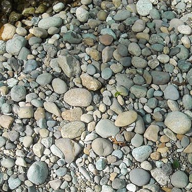 cobbles of Rocky Creek gravel bar, Rocky Creek Conservation Area, Key Peninsula, Pierce County, Washington