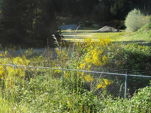high-security fence guarding county gravel pit, Rocky Creek Conservation Area, Key Peninsula, Pierce County, Washington