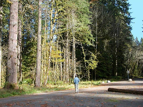 Gene Wan and the forest, edge of Sadele Dam Park, Cowlitz County, Washington