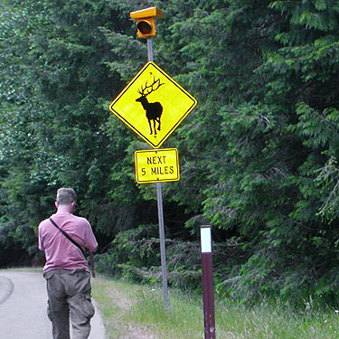 elk crossing sign on Greenwater Highway, near Mt. Rainier, Washington