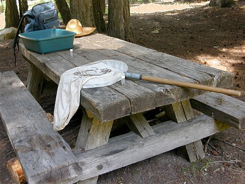 picnic table set up for arachnology, Sand Ridge Trailhead E of White Pass, Yakima County, Washington