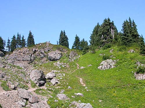 crest of Sauk Mountain, Skagit County, Washington