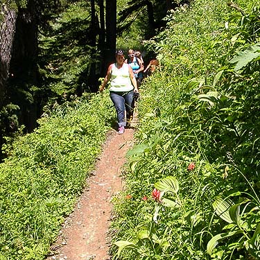 hikers on trail to Sauk Mountain, Skagit County, Washington