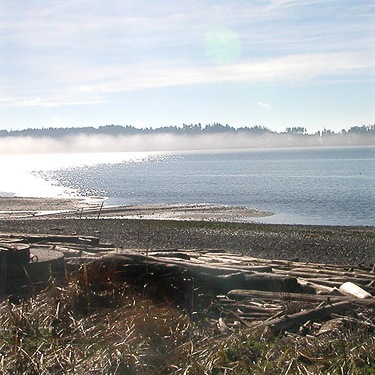 fog in Penn Cove from Monroe Landing Park, Whidbey Island, Washington