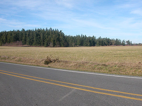 county trust land from Balda Road, Scenic Heights, Whidbey Island, Washington