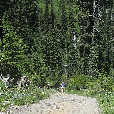 Della Scott and Ripple on trail, east side of Chinook Pass, Yakima County, Washington