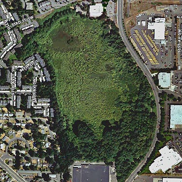 2009 aerial photo view of Seeley Lake Park, Lakewood, Pierce County, Washington