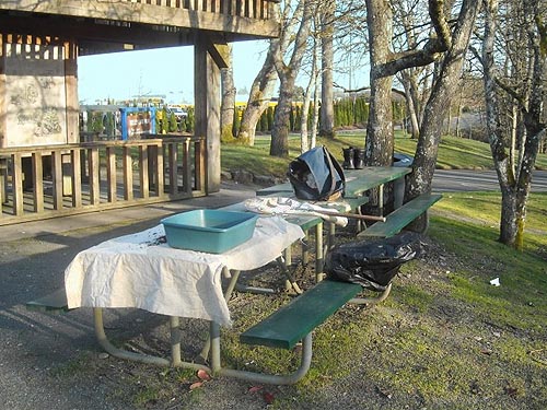 picnic table set up for sifting, Seeley Lake Park, Lakewood, Pierce County, Washington