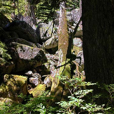 Boulders along trail to Slide Lake, Skagit County, Washington