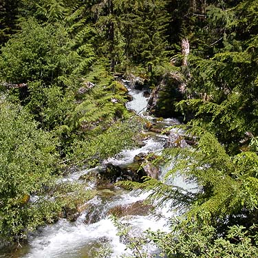 Otter Creek above Illabot Creek Road, trailhead to Slide Lake, Skagit County, Washington