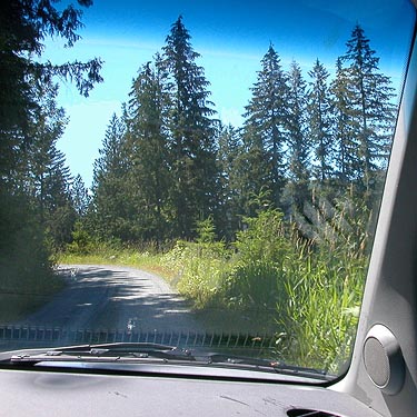 Illabot Creek Road on way to Slide Lake, Skagit County, Washington