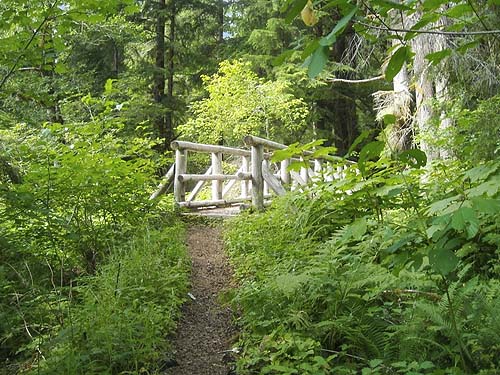 footbridge over Cedar Creek, north end of Spider Lake, Mason County, Washington