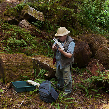 Rod Crawford prepares to sift litter for spiders, Spider Lake, Mason County, Washington