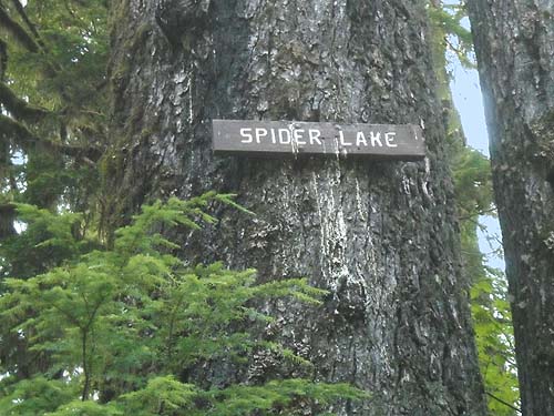 trailhead sign, Spider Lake, Mason County, Washington