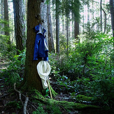 Laurel Ramseyer's coat hangs on a tree, Square Lake, Kitsap County, Washington