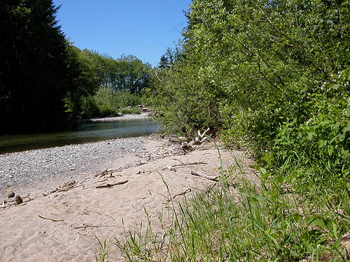 sand and gravel beach of Squire Creek, Squire Creek Park, Snohomish County, Washington