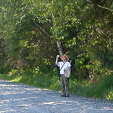 Laurel Ramseyer taking a photo, powerline clearing 1.3 miles E of Squire Creek Park, Snohomish County, Washington