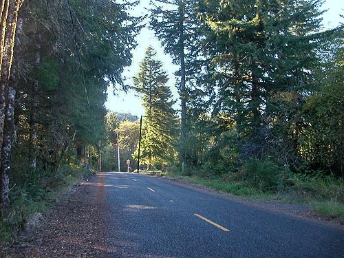 habitats aongside Sund Road, Grays Harbor County, Washington