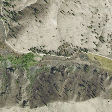 aerial view, 2010, of spider collecting sites in Swakane Canyon, Chelan County, Washington