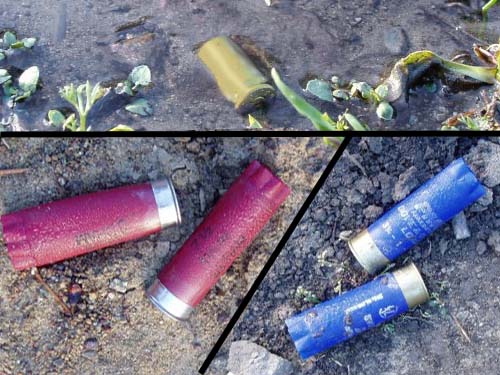 shotgun and .22 rifle shells, Swakane Canyon, Chelan County, Washington