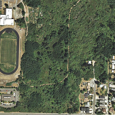 2009 aerial photo, east-campus wetland reserve, Tacoma Community College, Tacoma, Washington