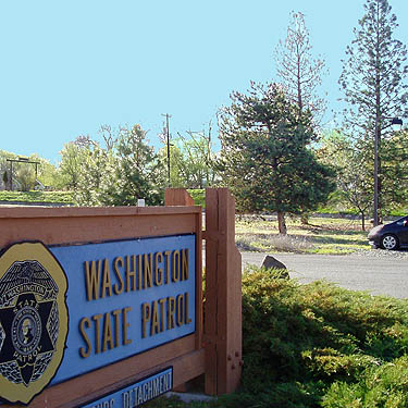 planted pine trees by state police station, Thorp Highway Bridge, near Ellensburg, Kittitas County, Washington
