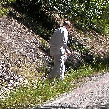 Jerry Austin seeks spiders under rocks, Tonga Ridge Road, King County, Washington