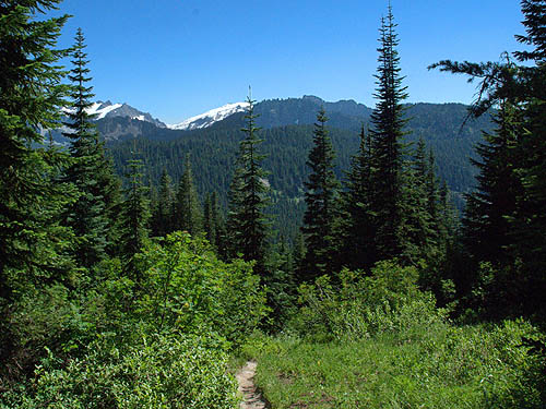 trail scene on Mt. Sawyer, King County, Washington