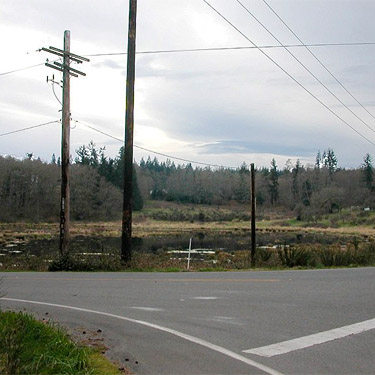 private wetland seen from intersection of Coles Road, SSW of Langley, Whidbey Island, Washington